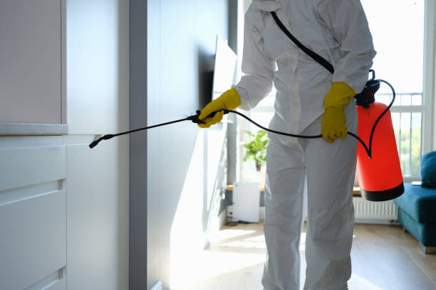 Office Mold Removal Services in Gastonia, NC