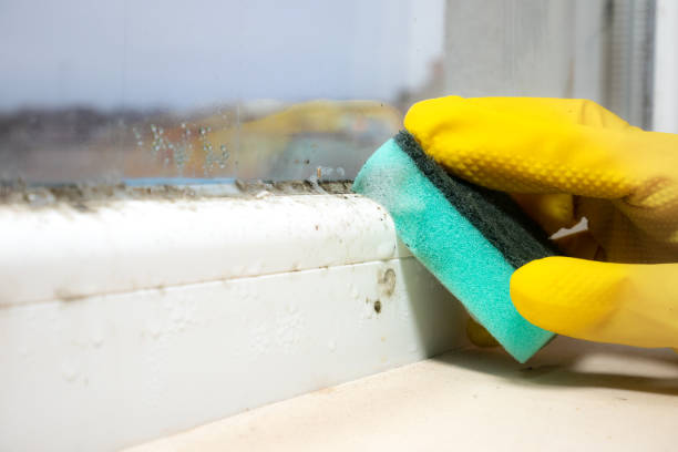 Best Crawl Space Mold Removal  in Gastonia, NC